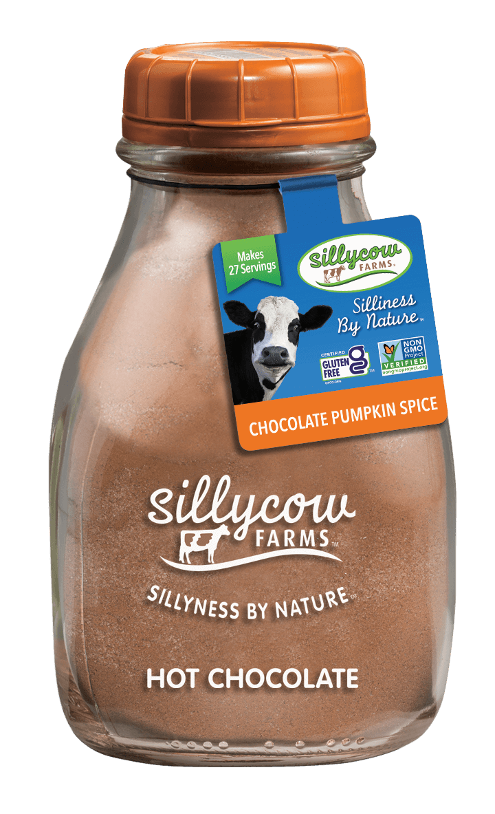 Chocolate Pumpkin Spice hot chocolate, 16.9 oz bottle